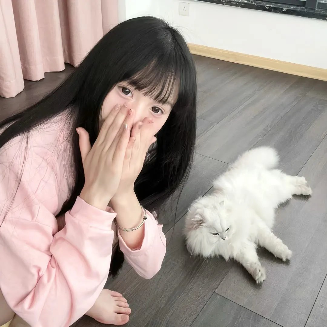维也纳谋杀案